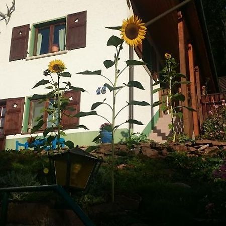 La Casita Linda Apartment Eberbach  Exterior photo