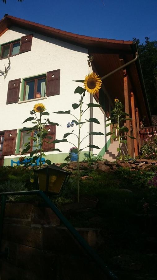 La Casita Linda Apartment Eberbach  Exterior photo